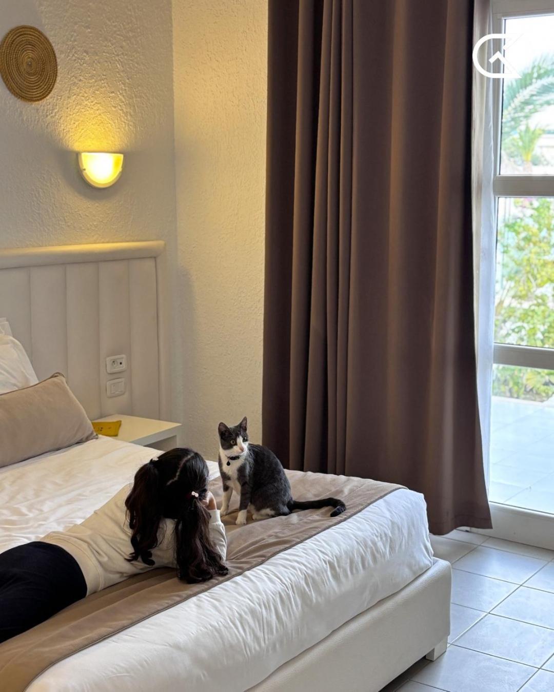 Hotel Golden Tulip President 4*
