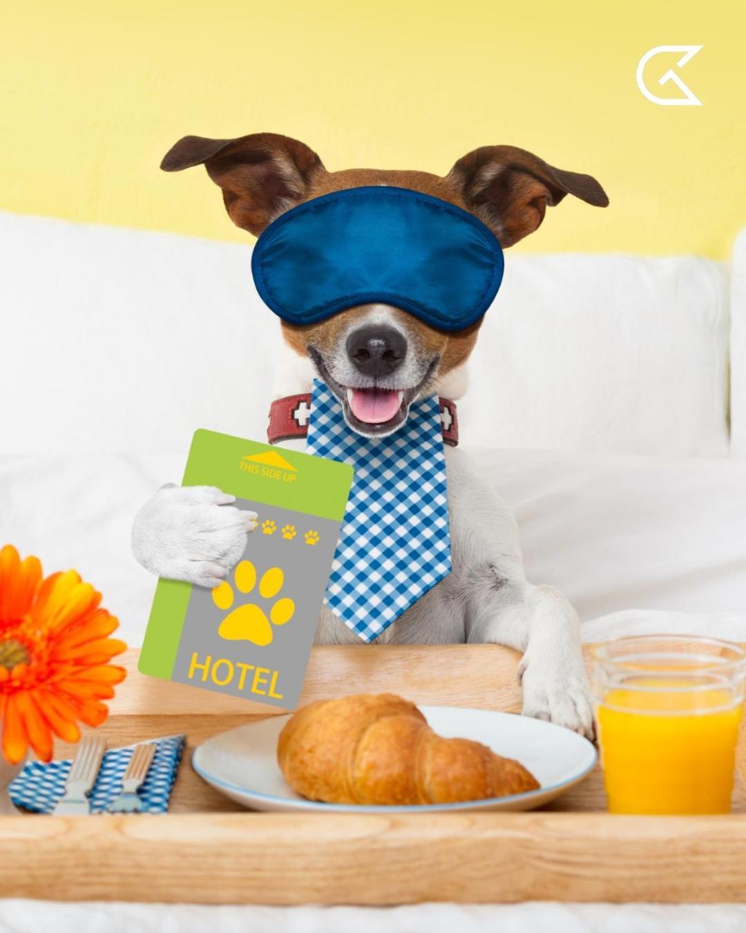 Hotel Cooee President 4*